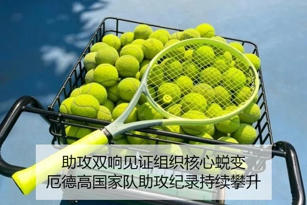 助攻双响见证组织核心蜕变 厄德高国家队助攻纪录持续攀升